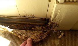 Service Area Page - Gainesville - Dreyer's Carpet Care Service Area Page - Gainesville - Dreyer's Carpet Care