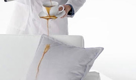 Service Area Page - Gainesville - Dreyer's Carpet Care Service Area Page - Gainesville - Dreyer's Carpet Care